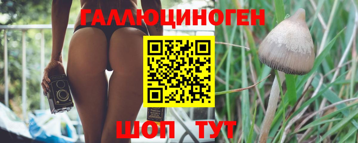 Псилоцибиновые грибы ЛСД  Вход с VPN  Аксай 